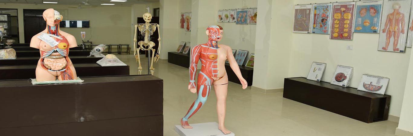 Birsa Munda Govt. GMC Medical College Shahdol